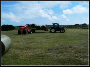 Harry Peter's Marshall Bale Trailer 